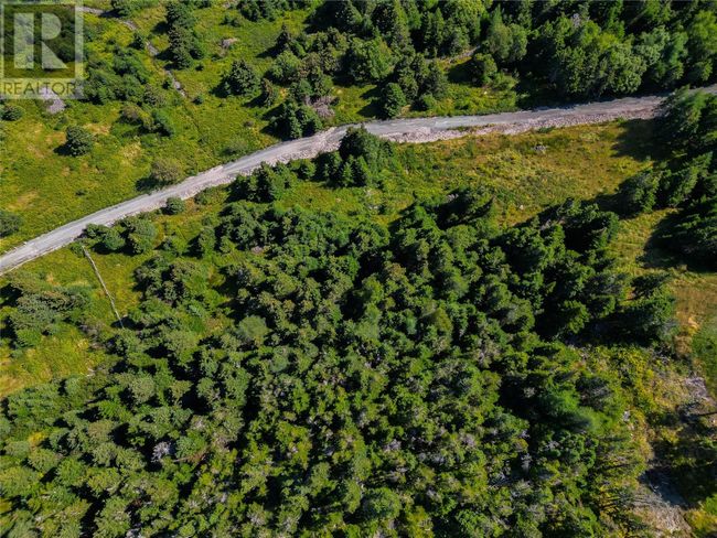 20 Kennedys Lane, Home with 0 bedrooms, 0 bathrooms and null parking in Holyrood NL | Image 10