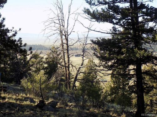 2381 Redhill Rd, Fairplay, CO, 80440 | Card Image