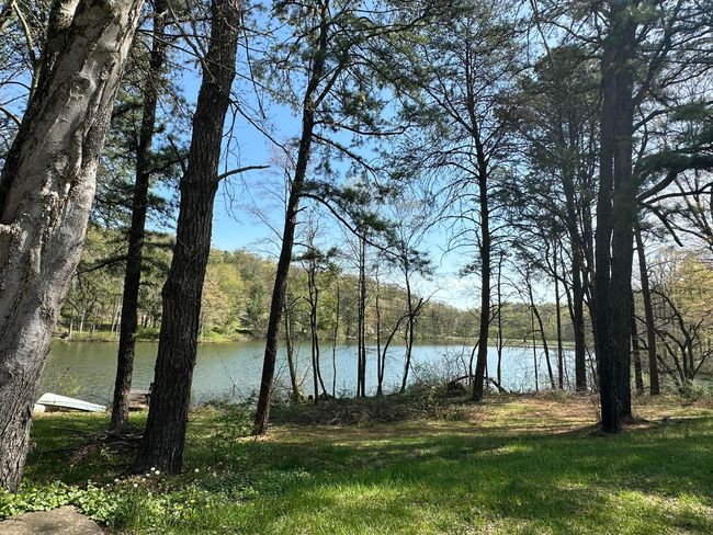 Around the lake! | Image 26