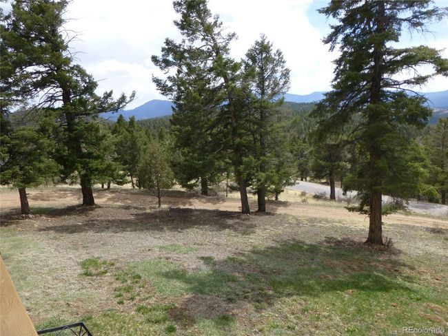 Front Yard | Image 29
