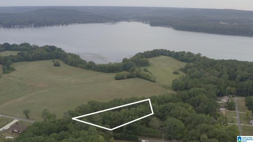 0-0 Browns Valley Rd, Guntersville, AL, 35976 | Card Image