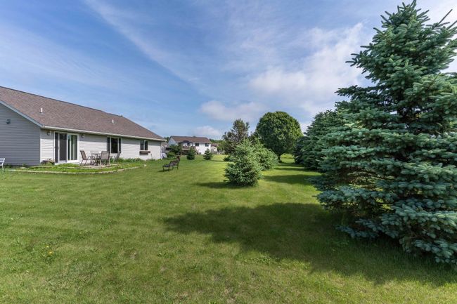 Backyard | Image 5