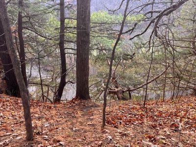 overlooking Root River | Image 1