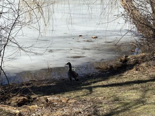 ste-c-40 Scarborough Ln, Wappingers Falls, NY, 12590-5164 | Card Image