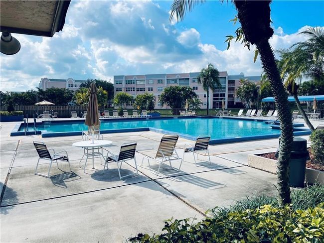 Main pool | Image 25