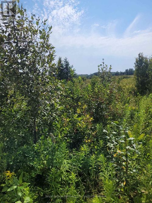 303 Talon Crescent W, Bonfield, ON, P0H1E0 | Card Image