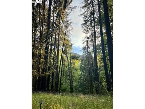 25993 E Henry Creek Rd, Rhododendron, OR, 97049-0059 | Card Image