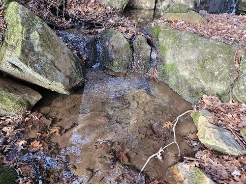 TBD Excelsior School Rd, Laurel Fork, VA, 24352 | Card Image