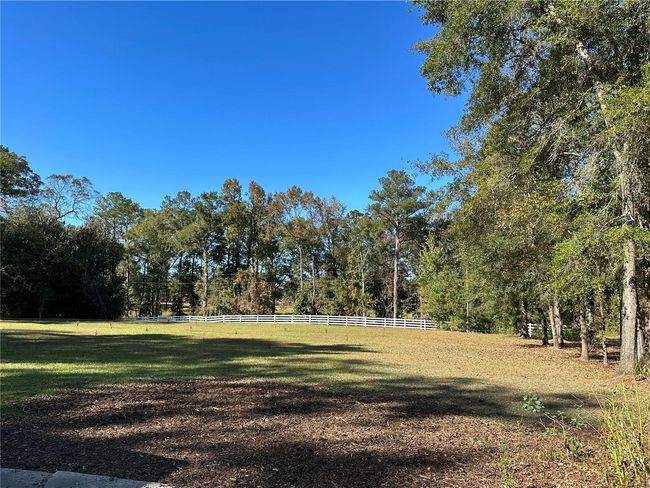 LOTS OF LAND & TREES | Image 58