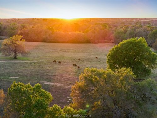 1580 County Road 377, Caldwell, TX, 77836 | Card Image
