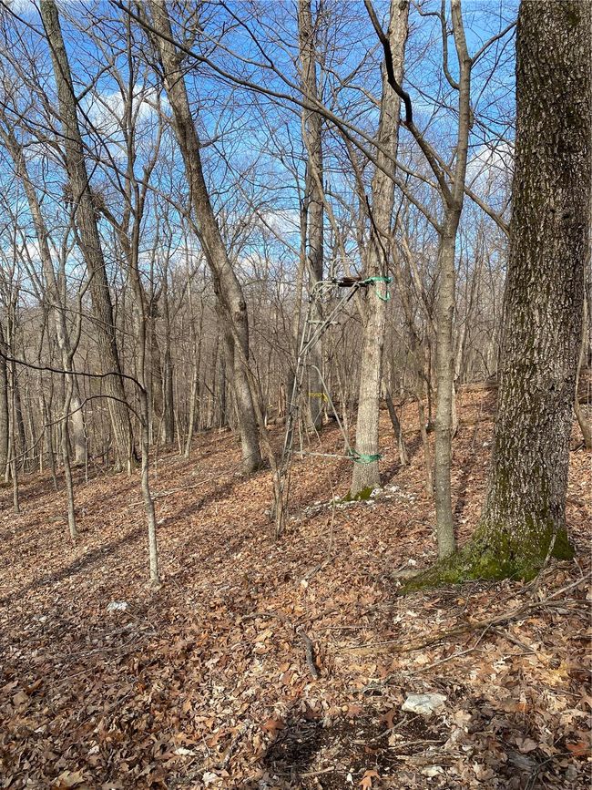 0 Yates Ave, Home with 0 bedrooms, 0 bathrooms and null parking in House Springs MO | Image 7
