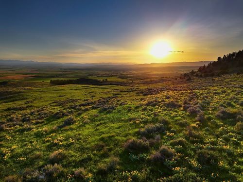 Four Bar Ranches Corbly Gulch, Belgrade, MT, 59714 | Card Image