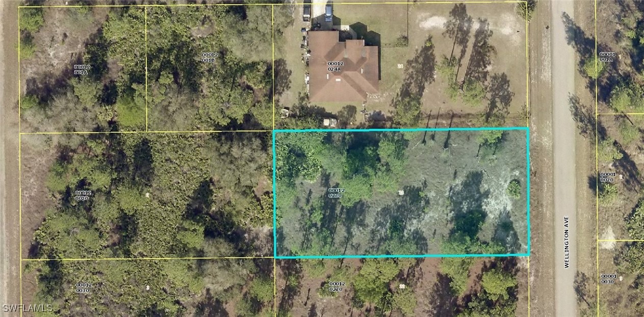 Land in Lehigh Acres
