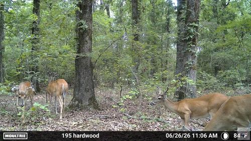 2116 N Circle Dr, Texarkana, TX, 75503 | Card Image