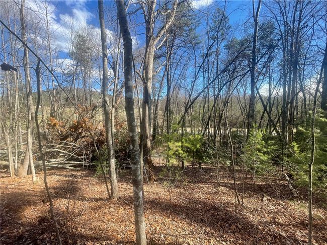 00 Academy Rd, Home with 0 bedrooms, 0 bathrooms and null parking in Mountain Rest SC | Image 22