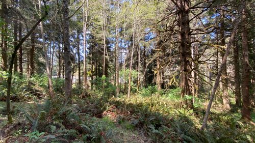 0000 Worthington Dr, Eureka, CA, 95503 | Card Image