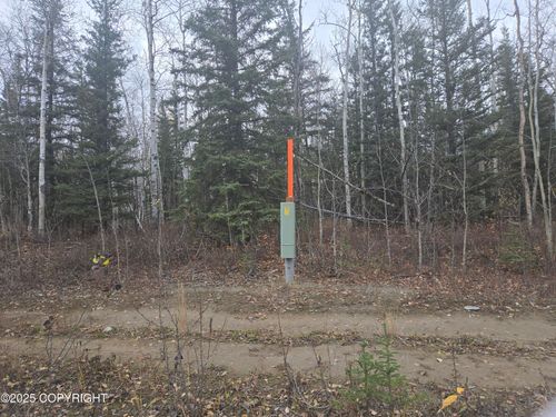 L2 B1 Brenden Boulevard, Copper Center, AK, 99573 | Card Image