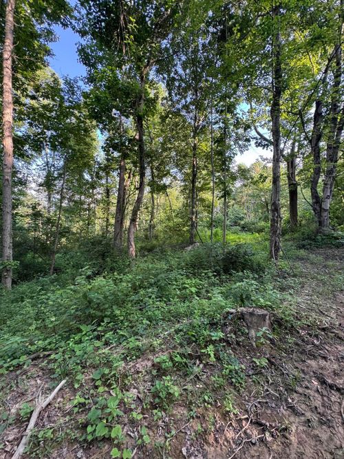 0 Morganstern Ln, Beverly, OH, 45715 | Card Image
