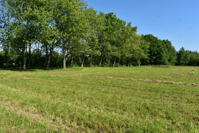 1 County St, Home with 0 bedrooms, 0 bathrooms and null parking in Milan MI | Image 4