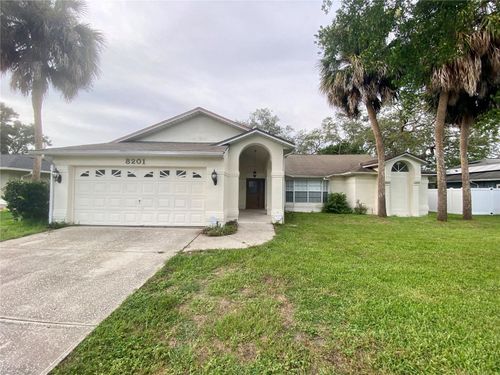 8201 Rhanbuoy Rd, SPRING HILL, FL, 34606-6949 | Card Image