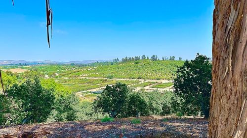 0 Manzanillo Dr, Moorpark, CA, 93021 | Card Image