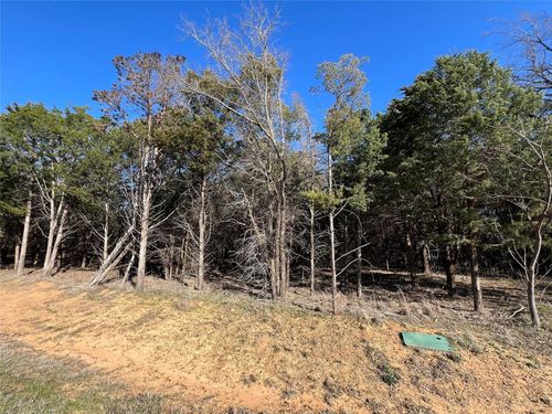 Lot 33 Palisades Cir, Gordonville, TX, 76245-1511 | Card Image