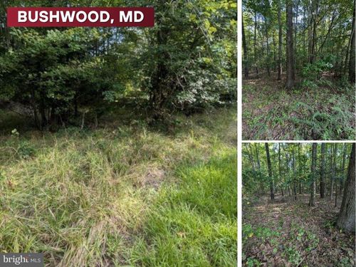 36810 Woodbush Dr, BUSHWOOD, MD, 20618 | Card Image