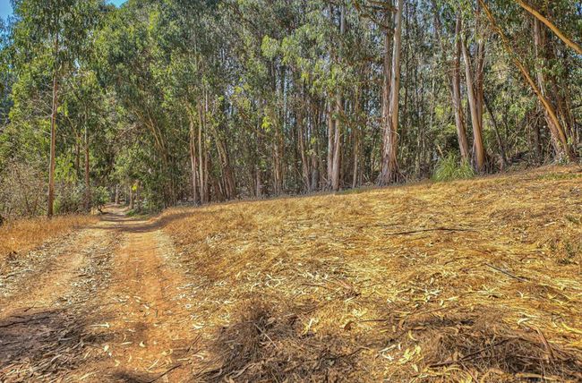 580 Snyder Ave, House other with 1 bedrooms, 1 bathrooms and 1 parking in Aromas CA | Image 11