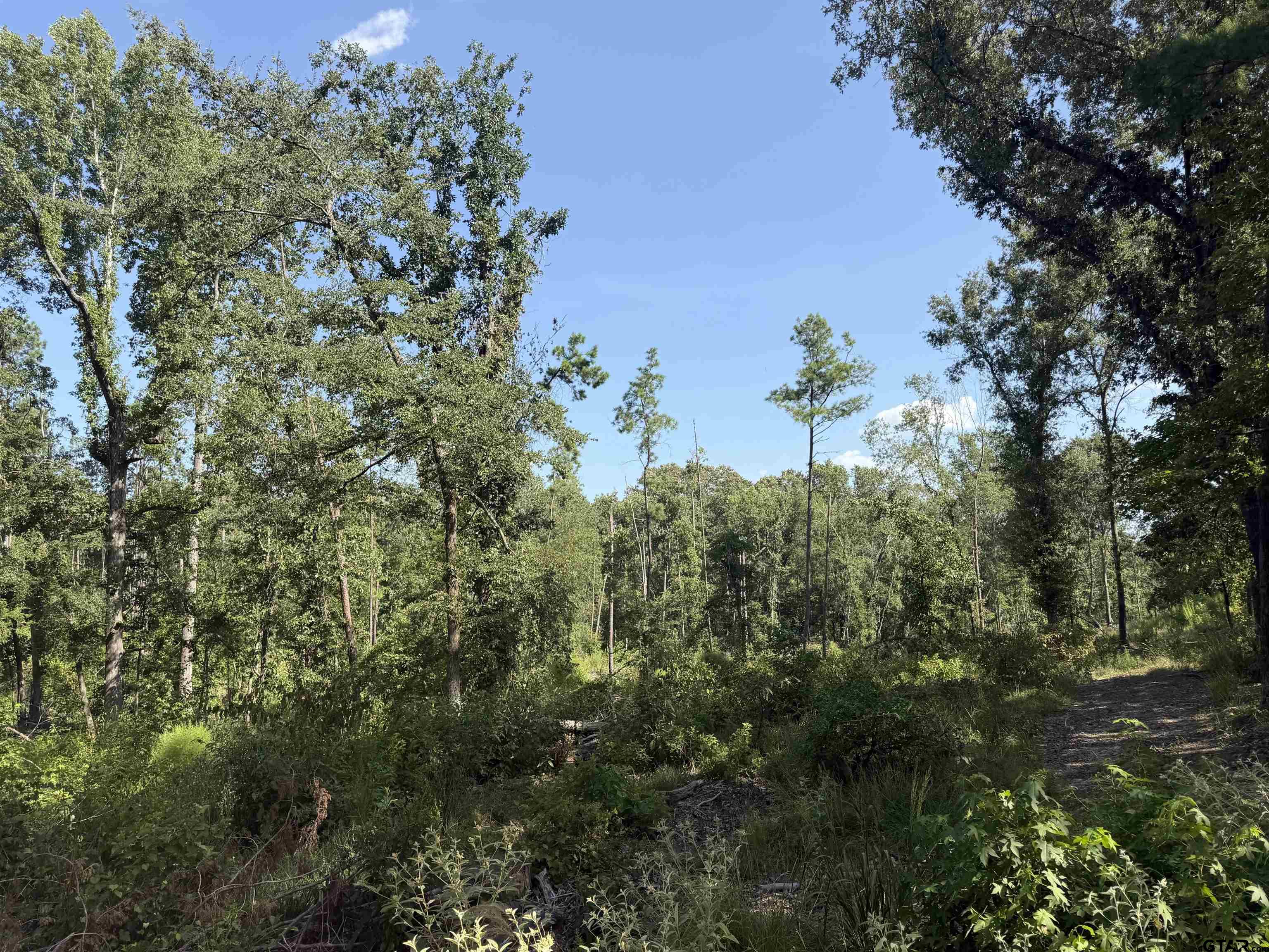 Land in Jacksonville 2