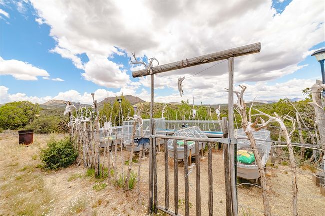 Yard | Image 22