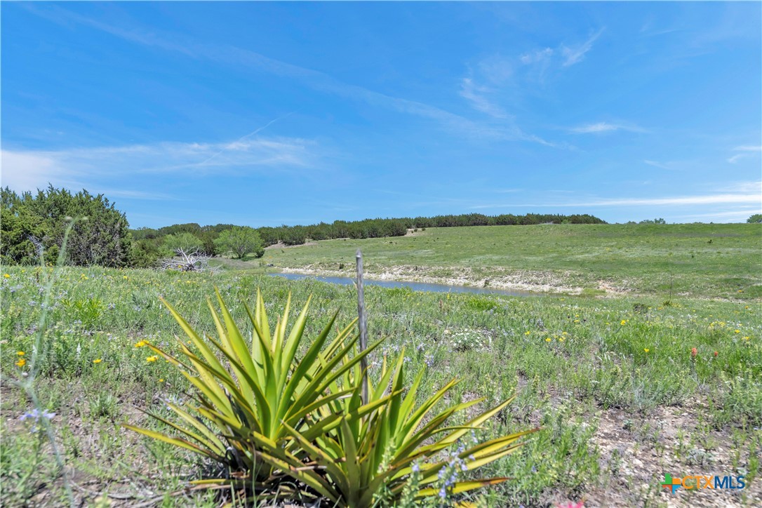 Farm in Burnet 3