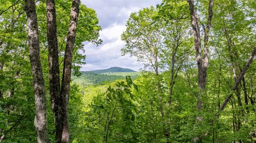 16 Receptive Dr, Glenville, NC, 28736 | Card Image