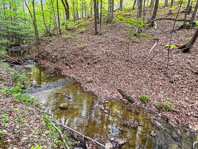 388 Hemlock Ridge Lane, Catawba | Image 88
