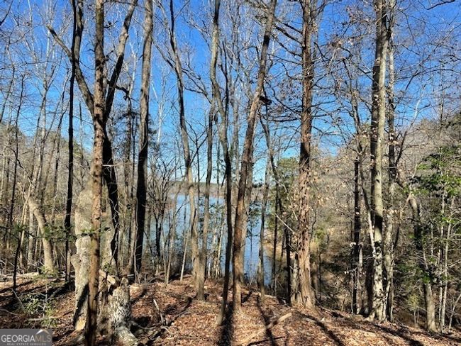 1276 Hornets Bridge Rd, Home with 0 bedrooms, 0 bathrooms and null parking in Elberton GA | Image 7