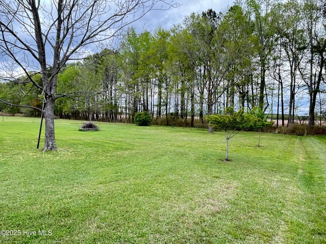 fruit trees | Image 42