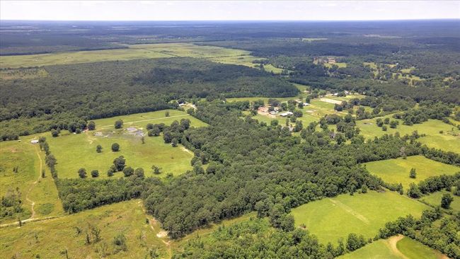 00 Lloyd Fregia Road, Home with 0 bedrooms, 0 bathrooms and null parking in Batson TX | Image 13