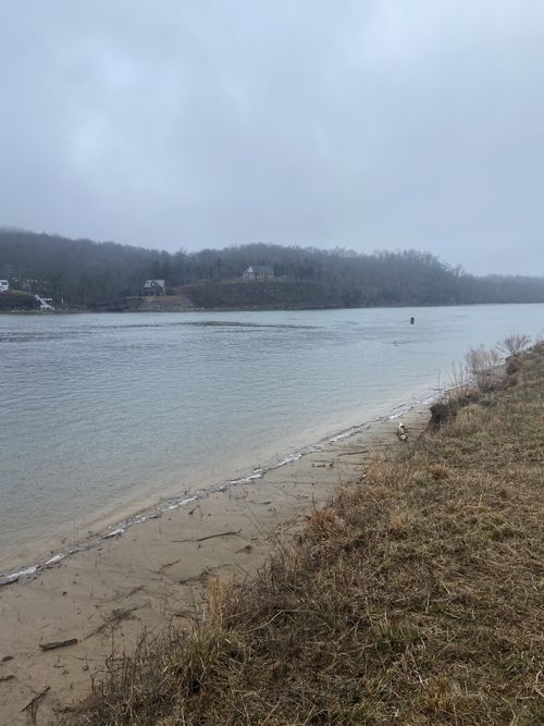 1947 Hardin Bottom River Rd, Clifton, TN, 38425-1517 | Card Image