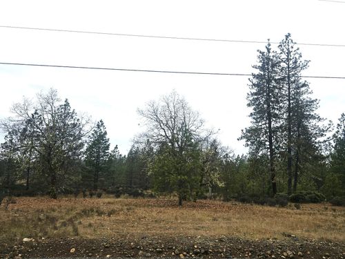 5322 Rockydale Road, Cave Junction, OR, 97523 | Card Image