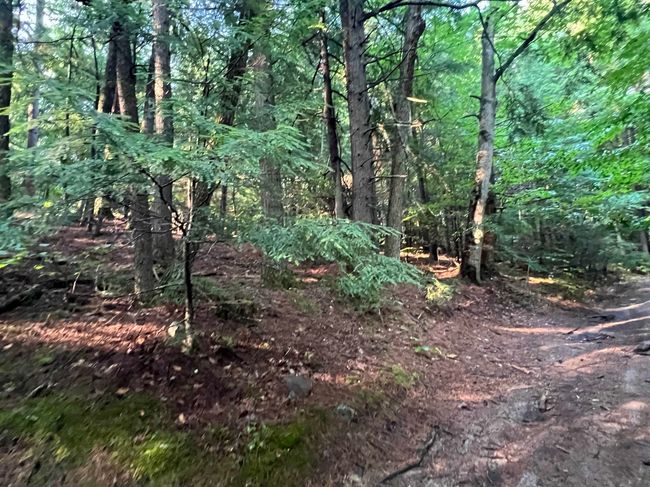 Map 6, Lot 38 Chadwick Hill Road, Home with 0 bedrooms, 0 bathrooms and null parking in Webster NH | Image 7