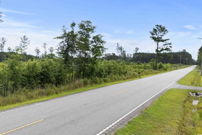 View of asphalt road featuring a forest view | Image 5