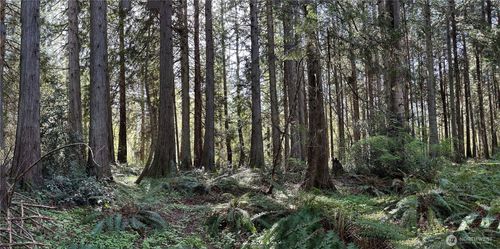 0 Lot 31 Nw Lakeness Rd, Poulsbo, WA, 98370 | Card Image