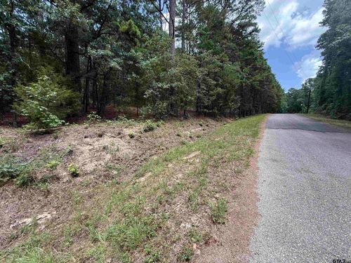 TBD Cr 4556, Winnsboro, TX, 75494 | Card Image