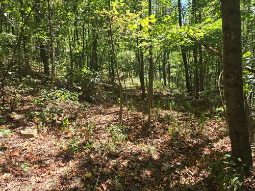 0 Rocky Fork Rd., Otway, OH, 45657 | Card Image
