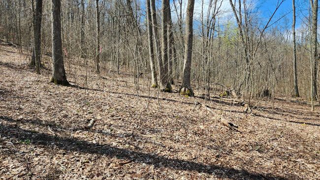 TRACT-2-PIKE-LAKE-GETAWA - 0 Pike Lake Rd, Home with 0 bedrooms, 0 bathrooms and null parking in Bainbridge OH | Image 21