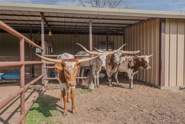 View of horse barn | Image 24