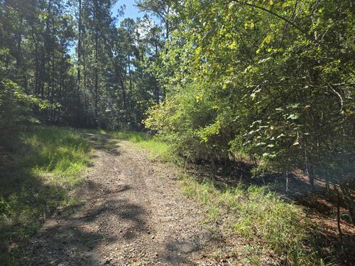 201 Idlewood Ct, Brookeland, TX, 75931 | Card Image