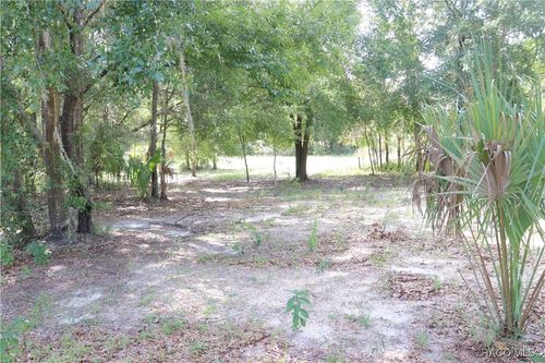 11924 N Belluzzi Ter, Dunnellon, FL, 34433-2182 | Card Image