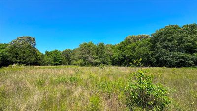 View of local wilderness | Image 1