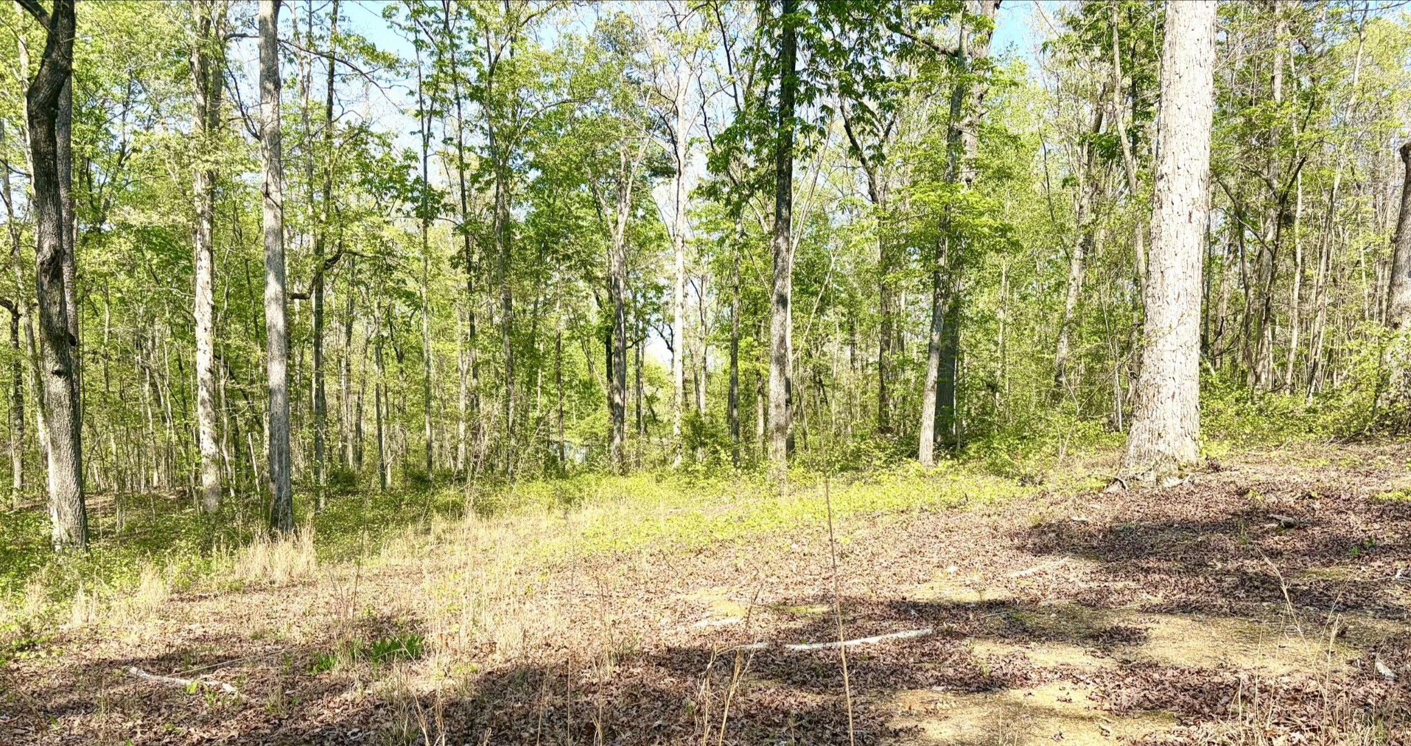 Residential in Birchwood 3