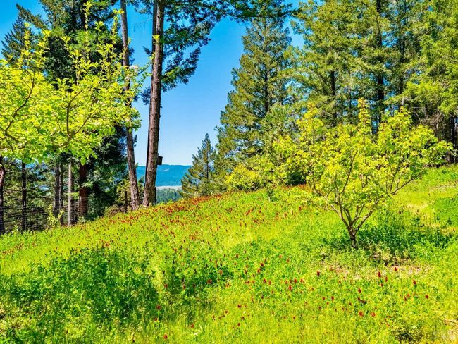 10951 Big Meadow Rd, House other with 2 bedrooms, 3 bathrooms and 6 parking in Philo CA | Image 41